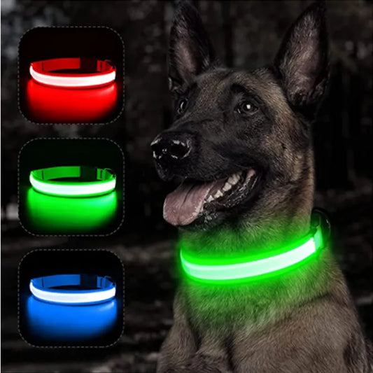 Bright LED Dog Collar