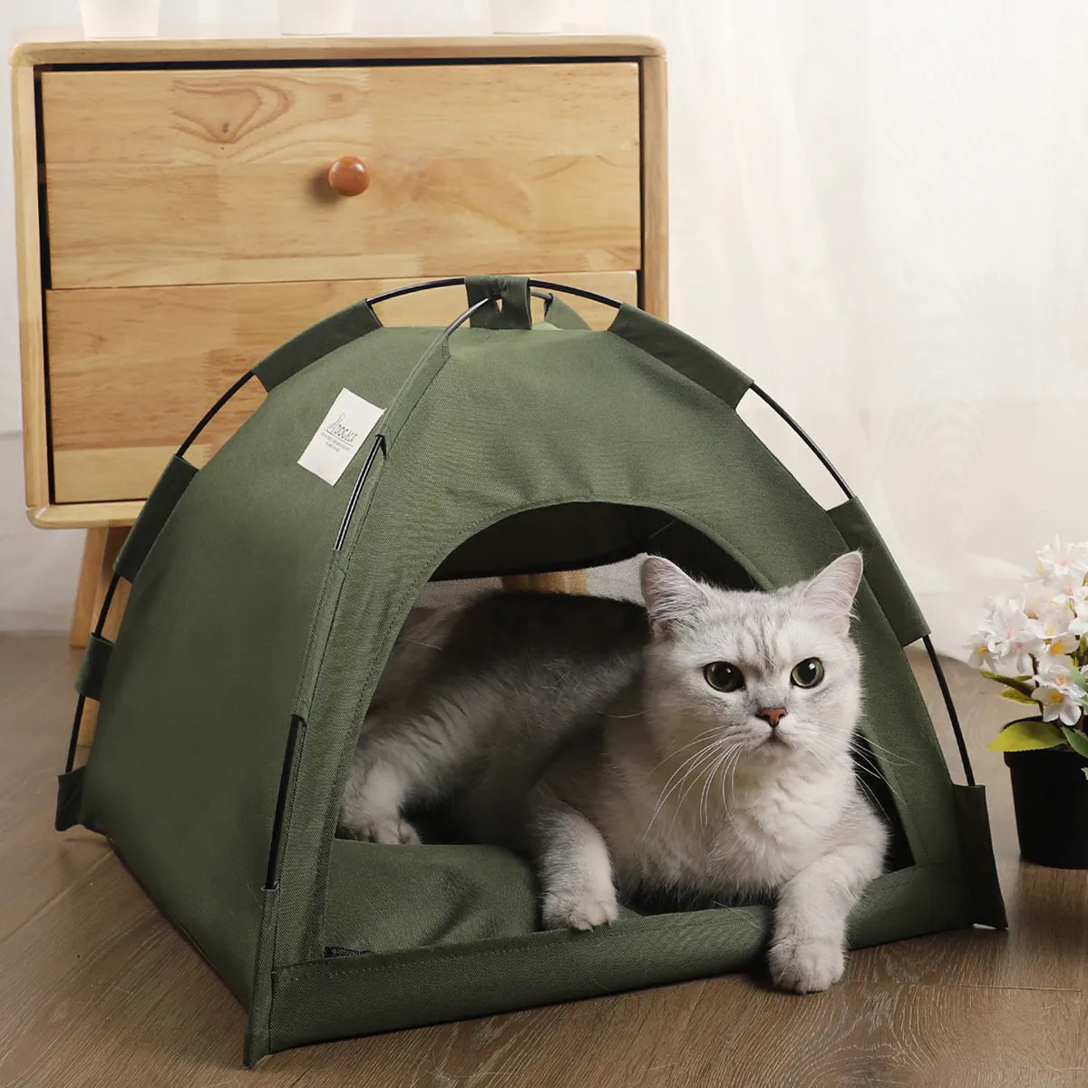 Adventurous or Elegant Pet Tent Beds