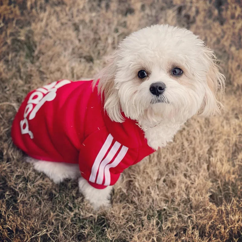 Athletic Dog Hooded Sweatshirt