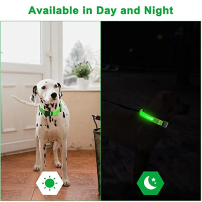 Bright LED Dog Collar