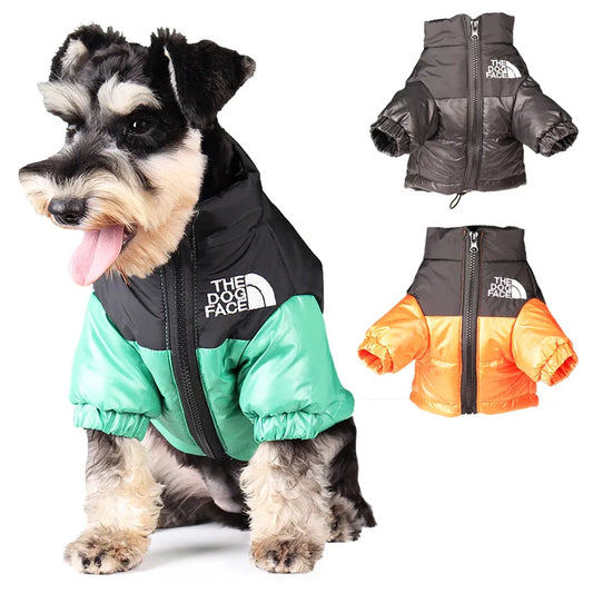 Winter Insulated Dog Jacket
